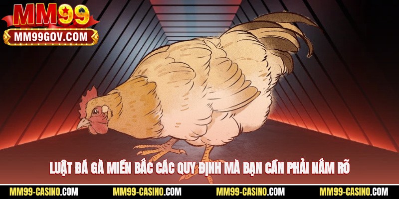 Luật Đá Gà Miền Bắc