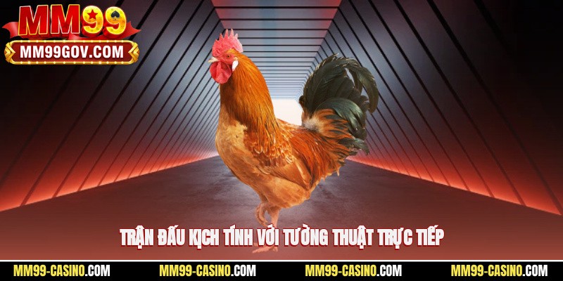 Trận đấu kịch tính với tường thuật trực tiếp